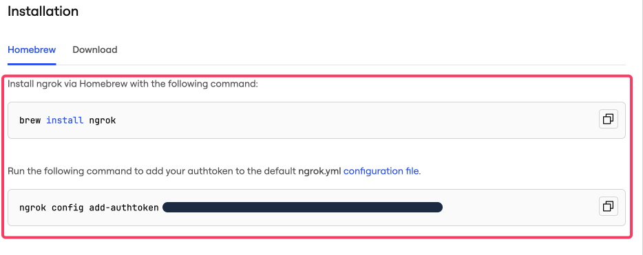 Ngrok authentication